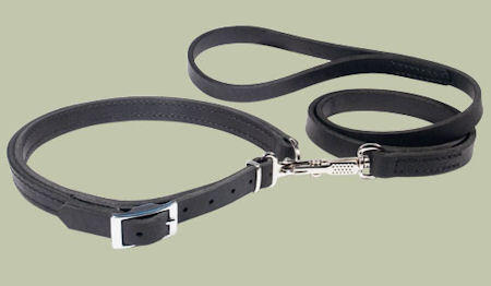 Patent Leather Dog Leash Eng bulldog hunting lead LRG