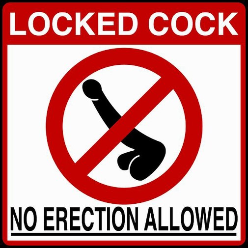 locked penis no erections possible image