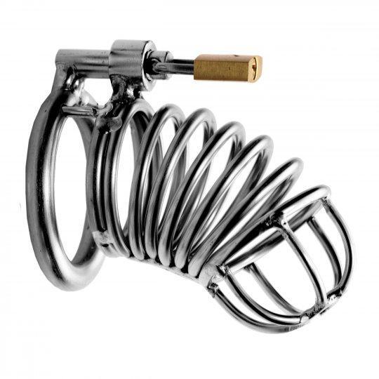 Ruby Ryder shares stainless steel chastity cage with lock for chastity play